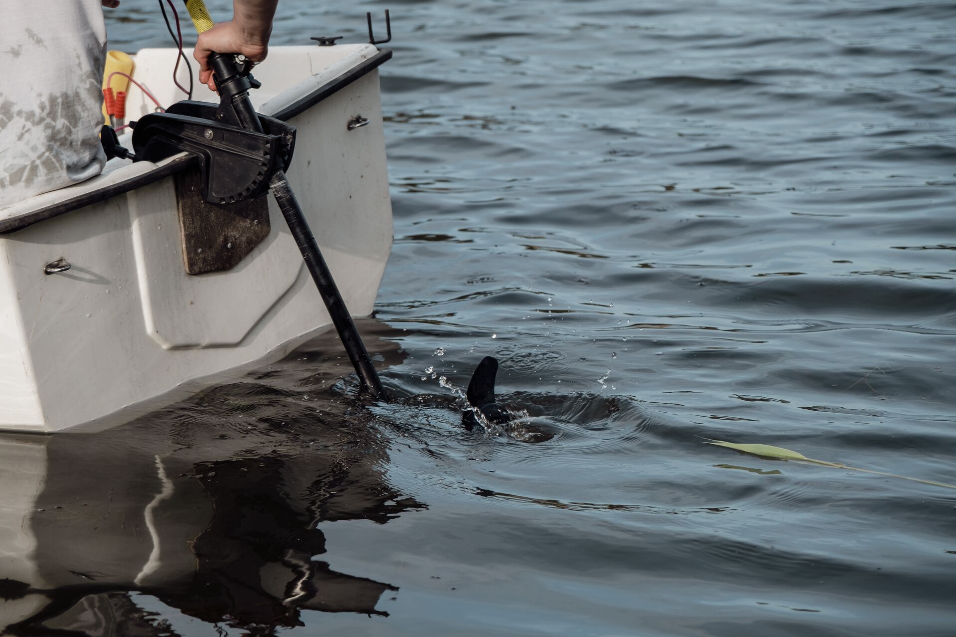 An electric boat motor on the back of a boat in the water. 