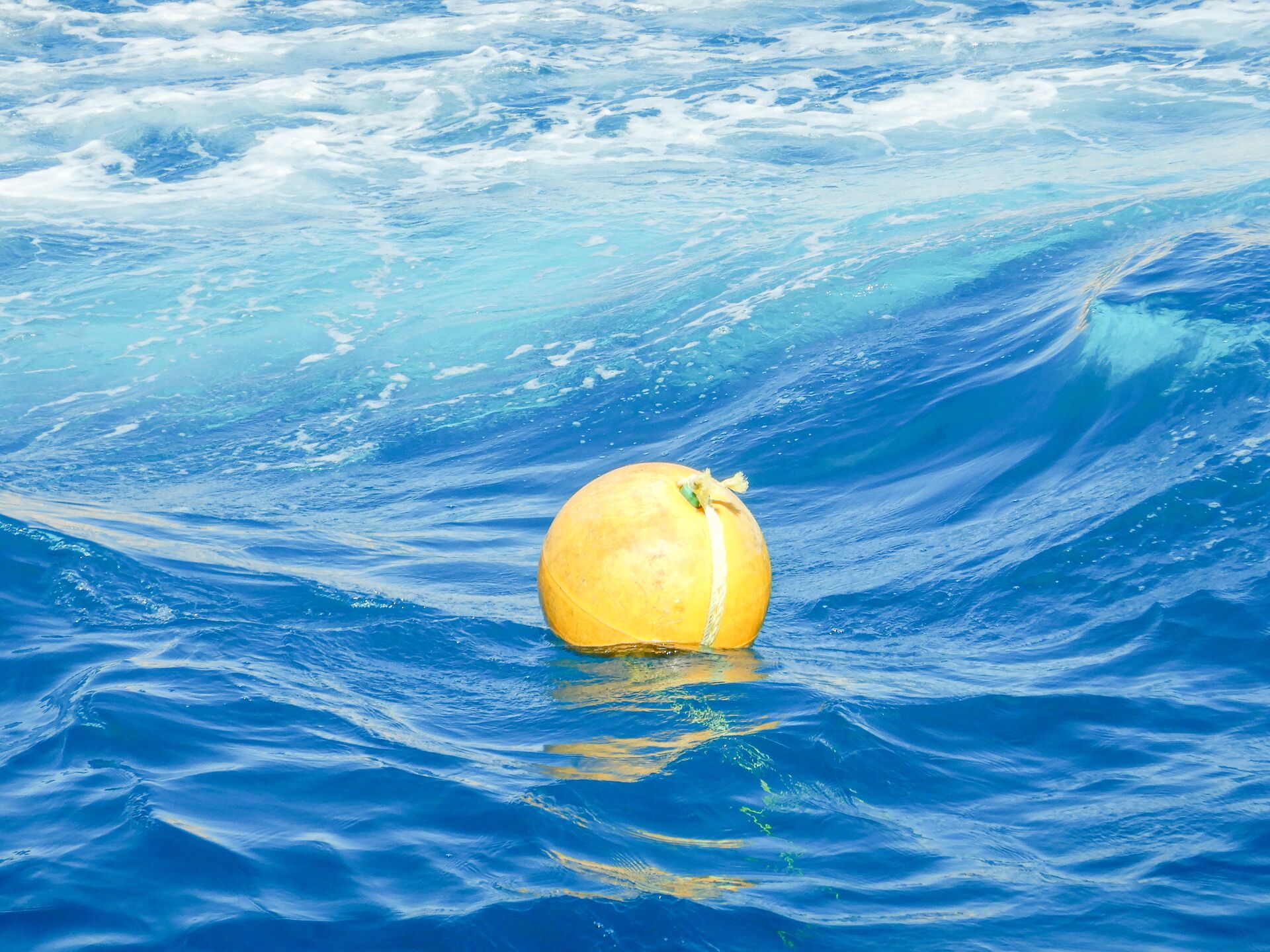 A yellow buoy on the water. 