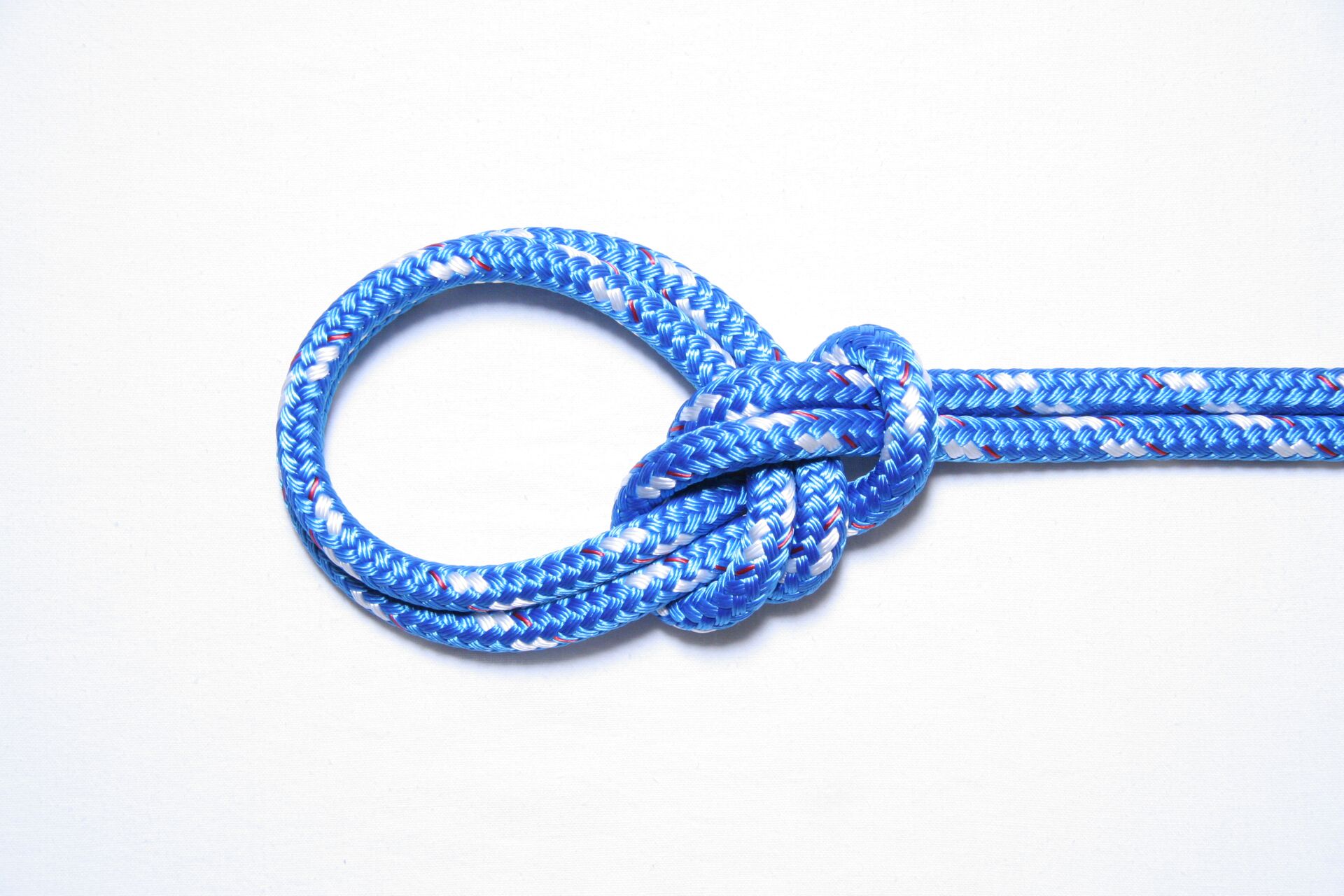 A photo of a bowline knot on a white background. 