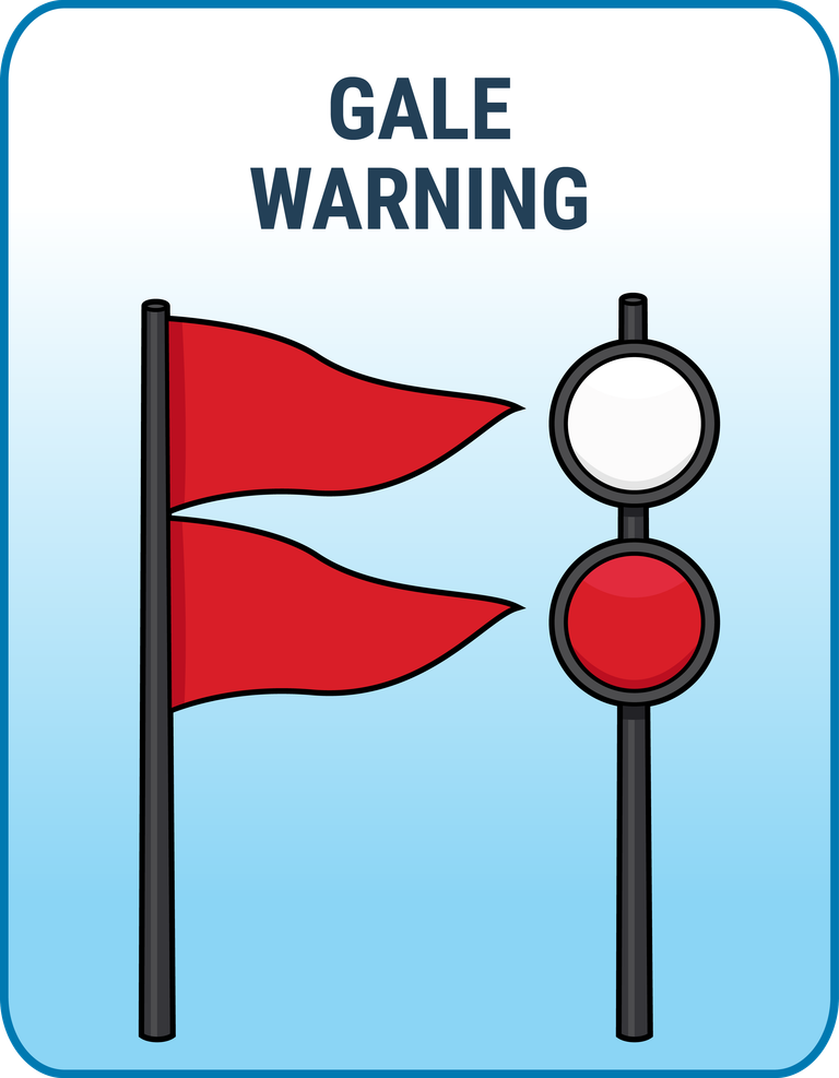 An illustration of the Gale Warning maritime flag.